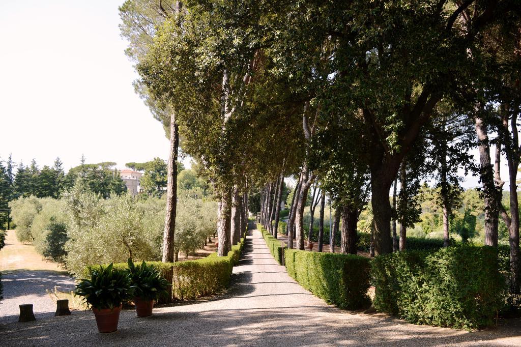 Villa S. Caterina Fauglia Exteriér fotografie